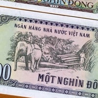 فيتنام فئة 1000 دونغ أنسر