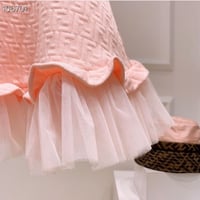 فستان فيندي مزين بالتل