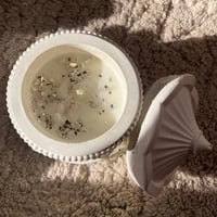 شمعة الاحصنة