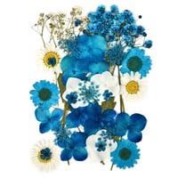 ورد مجفف مجموعة رقم 5