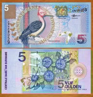 سورينام فئة 5 جولدن أنسر