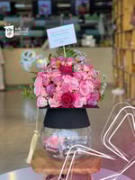 فازة تخرج مع شوكلت