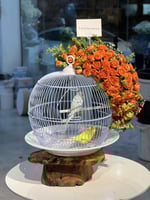 ورد طيور الحب