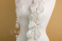 طوق تخرج بالاسم مع اللؤلؤ