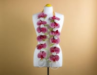 طوق تخرج بالاسم مع تنسيق ورد الاوركيد الصناعي