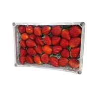 فراولة فلين