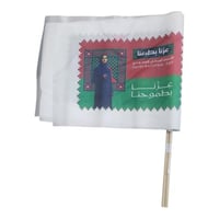 علم اليوم الوطني وسط