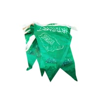 زينة تعليق مضيئة اليوم الوطني