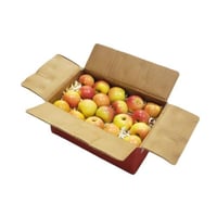 كرتون تفاح سكري صغير احمر