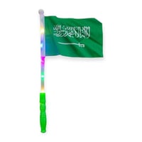 علم اليوم الوطني مضيئًا