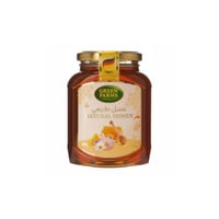 عسل طبيعي جرين فارمز 500 جرام