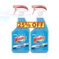 ملمع زجاج ويندكس 750 مل+ 750 مل