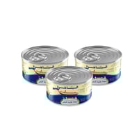 الباخرة شبيهة القشطة 170جرام * 3 حبات