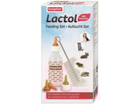 مجموعة تربية بيفار زجاجة رضاعة + فرشاة + 6 حلمات