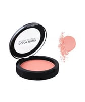 أحمر خدود كولور ستوديو - 02 فينتج روز