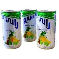 شراب راني كوكتيل الفاكهة 180مل- 3 حبات