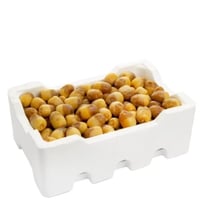 رطب الربيعه المدينة فلين