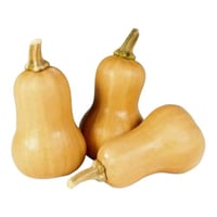 قرع امريكي طبيعي 2.2 كجم