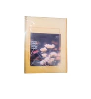 ملف جيوب شفاف متعدد الأشكال و الألوان 40 جيب