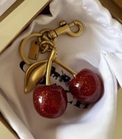 تشارمز وتعليقة كوتش ماستر مع العلبة