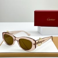 نظارات كارتير ماستر شامل الملحقات