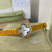 ساعات فان كليف ألامبرا ماستر عدة ألوان