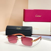 نظارات كارتيير شامل الملحقات