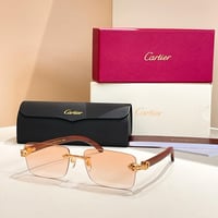 نظارات كارتيير شامل الملحقات