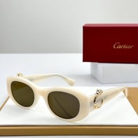 نظارات كارتير ماستر شامل الملحقات