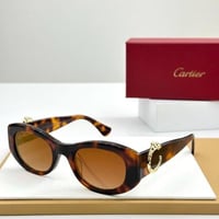 نظارات كارتير ماستر شامل الملحقات