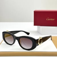 نظارات كارتير ماستر شامل الملحقات