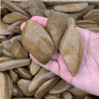 ملك العود