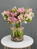 فازه ورد الستوميريا