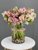 فازه ورد الستوميريا