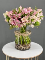 فازه ورد الستوميريا