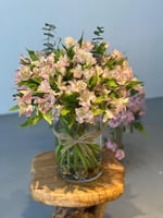 فازه ورد الستوميريا