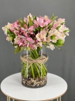 فازه ورد الستوميريا