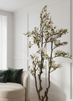 شجر الماغنوليا ابيض مقاس 2٫2م