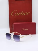 نظارة كارتير الجديدة