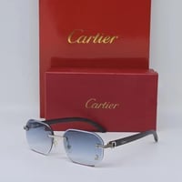 نظارة كارتير