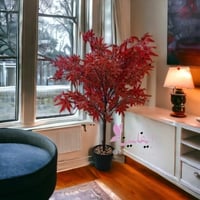 شجرة اوراق الخريف