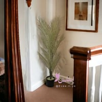 شجرة اوراق الليل المضيئة( مضيئه في الضلام )