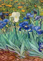 مجموعة لوحات جداريه مرسومه بشكل الورود