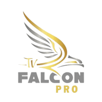 اشتراك فالكون سنة