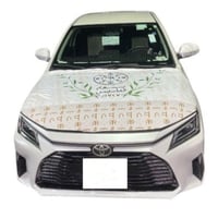 علم الكبوت يوم التأسيس