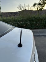 الانتل الفدرالي القصير