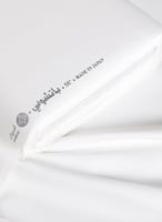 نباتي