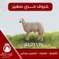 خاروف حري صغير