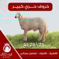 خاروف حري كبير