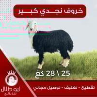 خاروف نجدي كبير